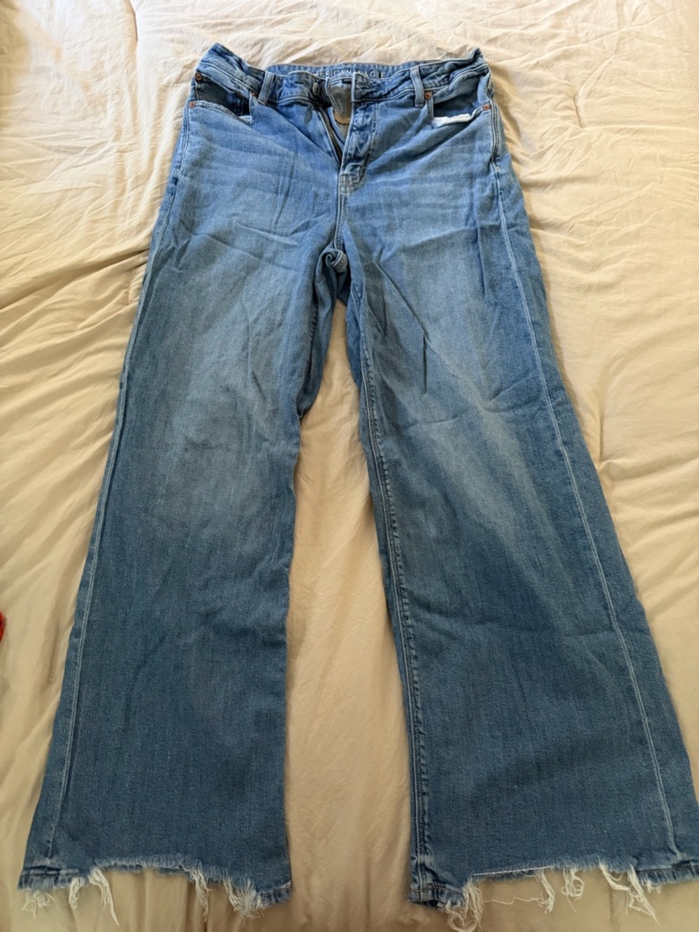 American Eagle Outfitters Light Blue Wide Leg Jeans with Frayed Hem